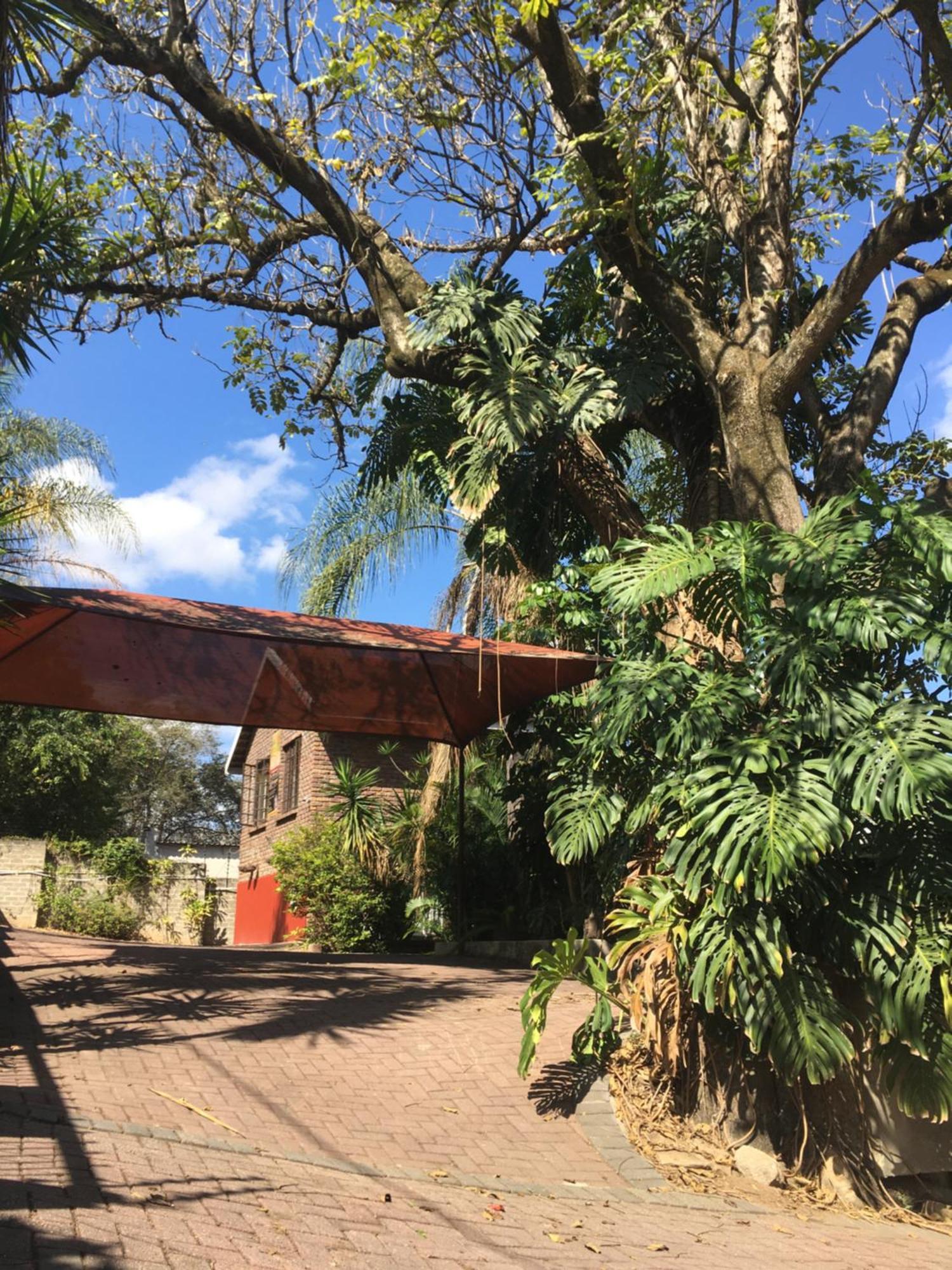 Old Vic Travellers Inn Nelspruit Mbombela Kültér fotó